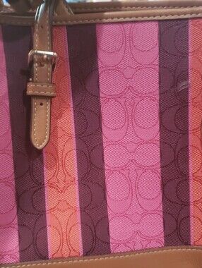 Coach Striped Jacquard Tote in Pink, Berry & Tan